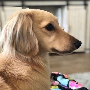 Meet your Posher, Dana